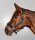 Halfter Pferd Breath VB nachtblau verstellbar gepolstert Satin Halfter