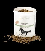 Magnesium forte - Für mehr Ausgeglichenheit, 1 kg