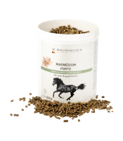Magnesium forte - Für mehr Ausgeglichenheit, 1 kg