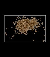 Magnesium forte - Für mehr Ausgeglichenheit, 1 kg