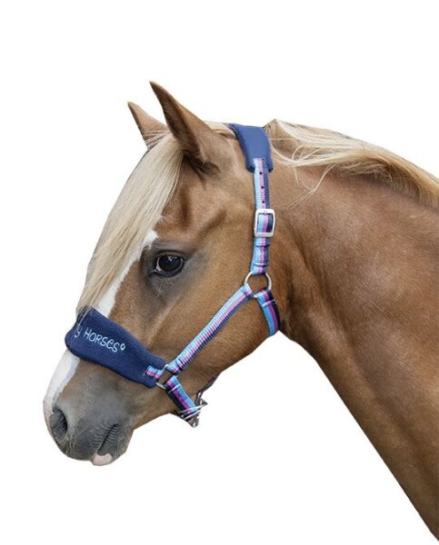 Halfter Shetty gepolstert Funny Horses HKM dunkelblau pink Mini Shetty Halfter