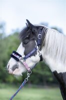 Halfter Shetty gepolstert Funny Horses Hearts HKM Pony...