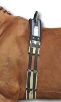 Longiergurt mit Haltegriff, dunkelblau/beige, Pony