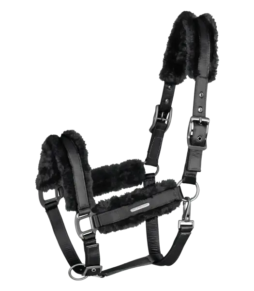 HALFTER Paris black/black VB