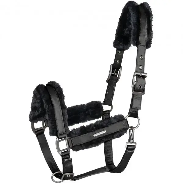 HALFTER Paris black/black WB
