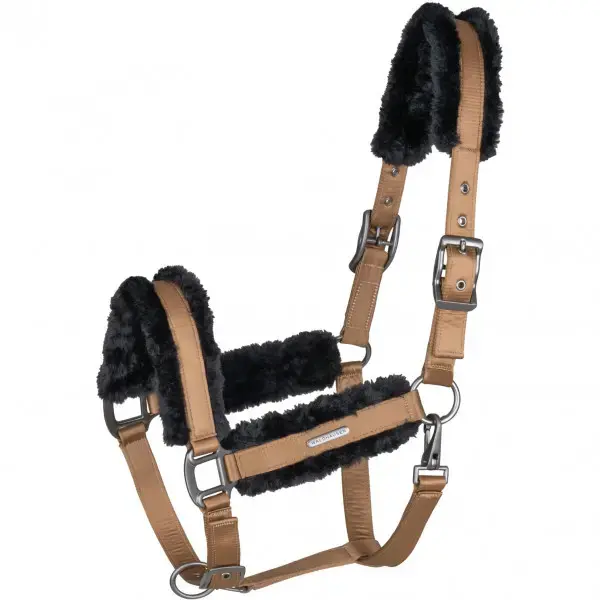 HALFTER Paris cappuccino/black VB