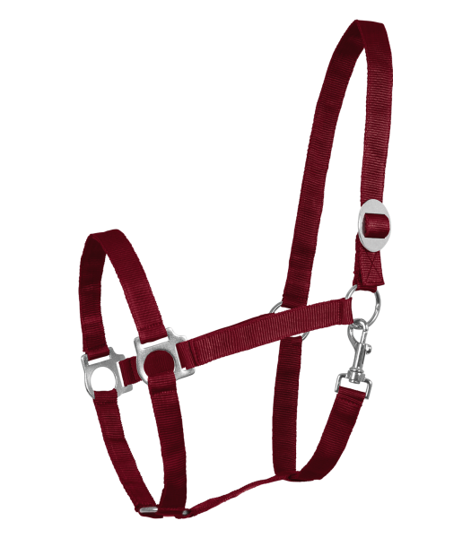 HALFTER Perlon bordeaux VB