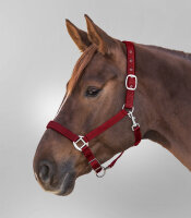 HALFTER Perlon Satin bordeaux WB