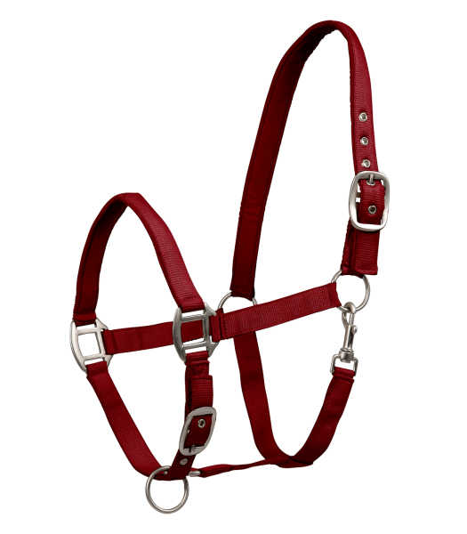 HALFTER Perlon Satin bordeaux VB