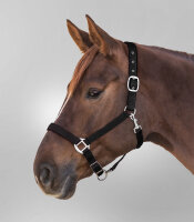 HALFTER Perlon Satin black PON
