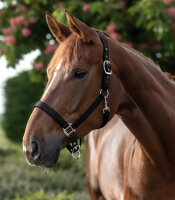 HALFTER Perlon Satin black PON