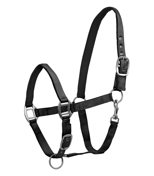 HALFTER Perlon Satin black WB