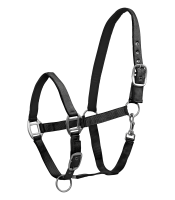 HALFTER Perlon Satin black WB