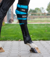 Waldhausen Health + Care Sprunggelenks Kühlgamasche Gel, Stück, WB