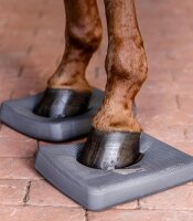 Waldhausen Health + Care Balance Pads Pferd Koordination Tiefenmuskulatur