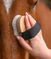 Schmuse- und Glanzbürste