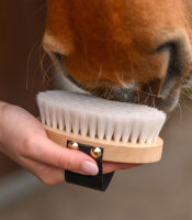 Schmuse- und Glanzbürste