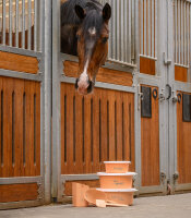 Futterschale 2 Liter mit Deckel „Enjoy your...