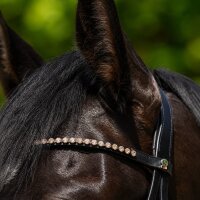 Waldhausen X-Line Stirnband Glam Schwarz VB Strass Leder geschwungen