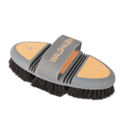 Flex Kardätsche, Rosshaar, Farbe pfirsisch