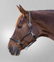 Waldhausen X-Line Lederhalfter Nevada, schwarz, WB