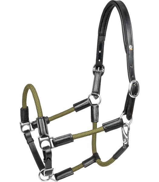 Waldhausen X-Line Lederhalfter Nevada Schwarz/Grün WB – Lederhalfter Pferd