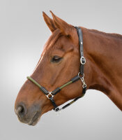 Waldhausen X-Line Lederhalfter Nevada Schwarz/Grün WB – Lederhalfter Pferd