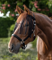 Waldhausen Fliegenfransen Salon Schwarz Pony Fliegenschutz Halfter
