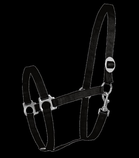 Perlonhalfter, schwarz, VB