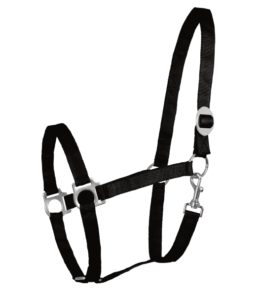 Perlonhalfter, schwarz, VB