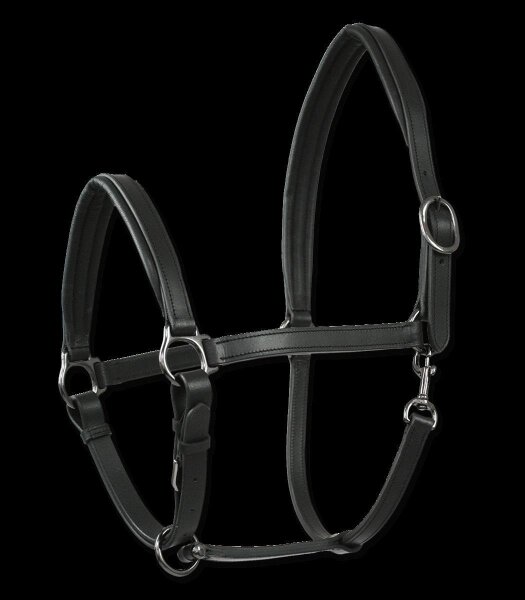 WALDHAUSEN X-LINE LEDERHALFTER FINESSE II, schwarz, WB