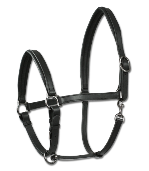 WALDHAUSEN X-LINE LEDERHALFTER FINESSE II, schwarz, WB