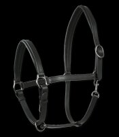 WALDHAUSEN X-LINE LEDERHALFTER FINESSE II, schwarz, WB