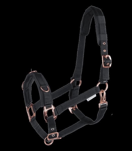 Waldhausen Longierhalfter Rosé Schwarz WB Longieren